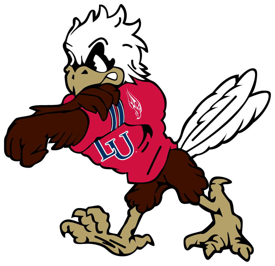 Liberty Flames 2003-2013 Mascot Logo v2 diy iron on heat transfer...